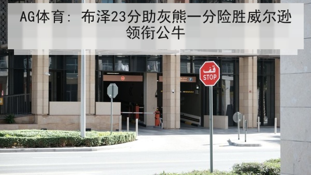 AG体育: 布泽23分助灰熊一分险胜威尔逊领衔公牛
