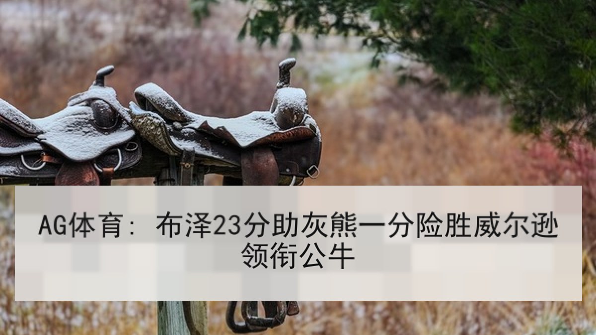 AG体育: 布泽23分助灰熊一分险胜威尔逊领衔公牛