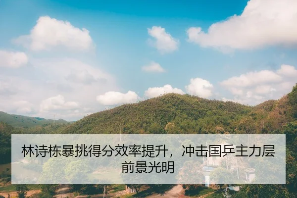 林诗栋暴挑得分效率提升，冲击国乒主力层前景光明